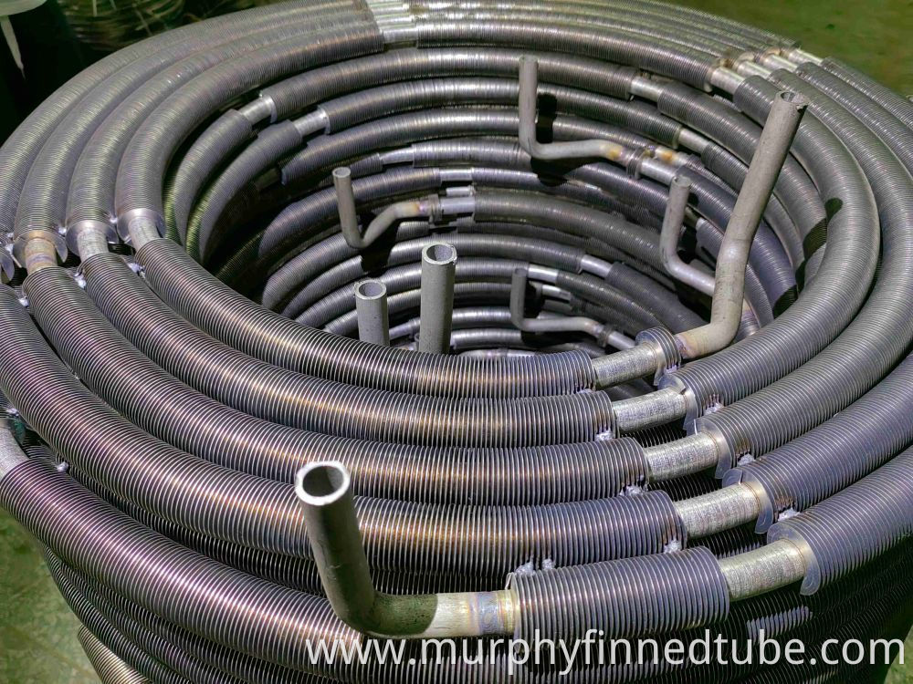 Stainless Steel Coiled Pipe